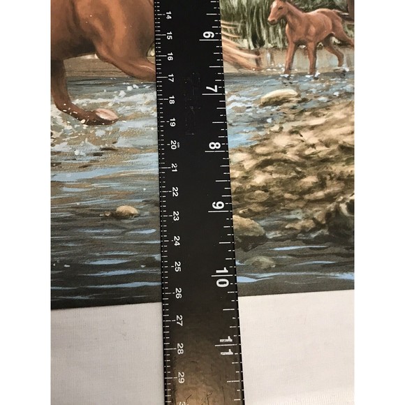 Wild Horses Wallpaper Border - Horse‎ Crossing Stream 10.25" Wide 1999 Hautman - Picture 8 of 8